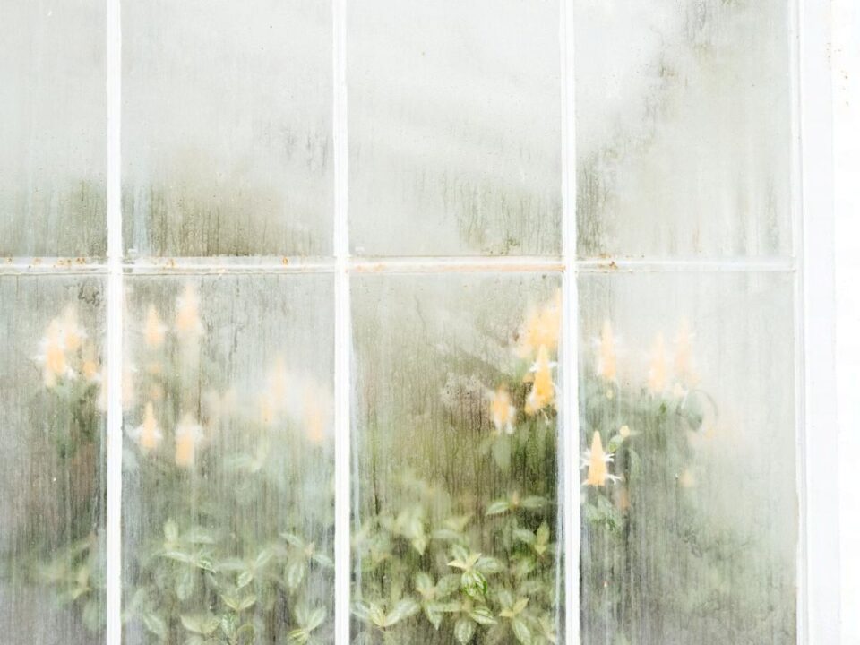Foggy Window Repair